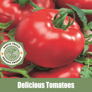 Delicious Tomatoes